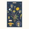 Cavallini Dandelion Tea Towel | Conscious Craft